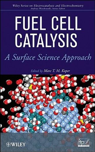fuel cell catalysis,a surface science approach