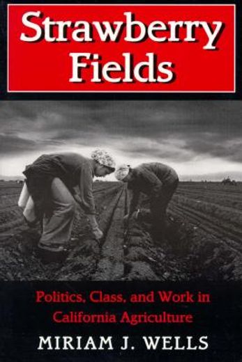 strawberry fields,politics, class, and work in california agriculture