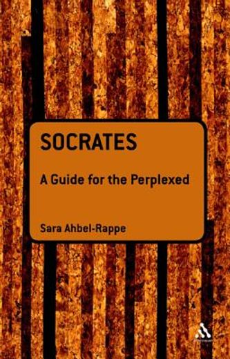 socrates,a guide for the perplexed