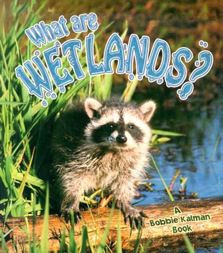 what are wetlands?
