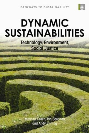 dynamic sustainabilities,technology, environment, social justice