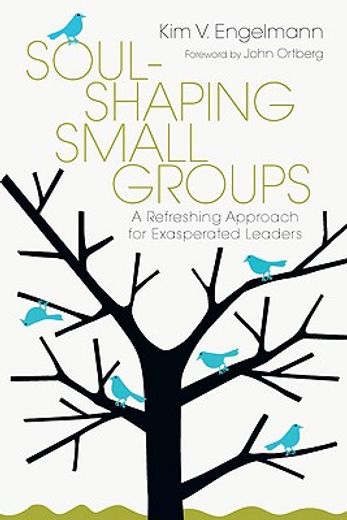 soul-shaping small groups,a refreshing approach for exasperated leaders