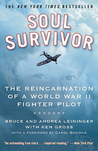 soul survivor,the reincarnation of a world war ii fighter pilot
