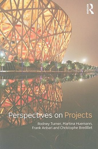 perspectives on projects