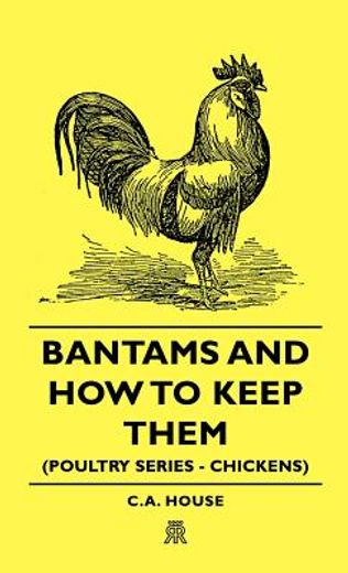 bantams and how to keep them