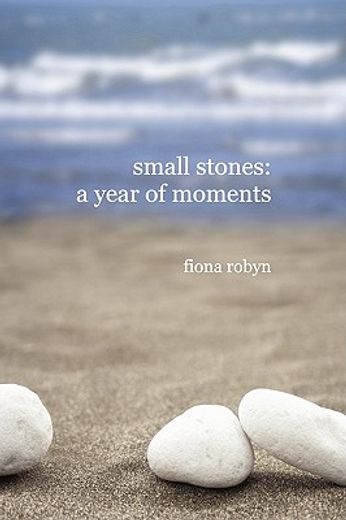small stones: a year of moments (en Inglés)