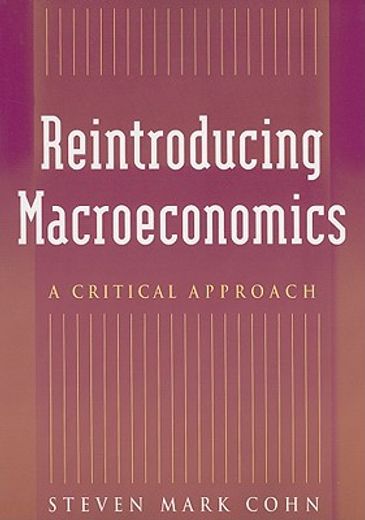reintroducing macroeconomics,a critical approach