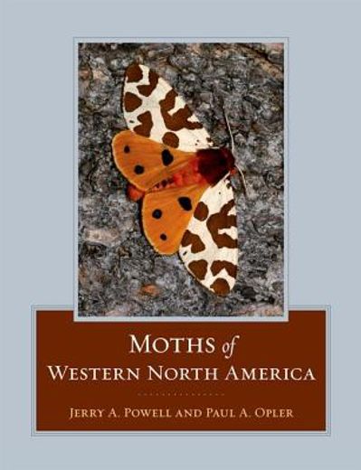 Moths of Western North America (in English)