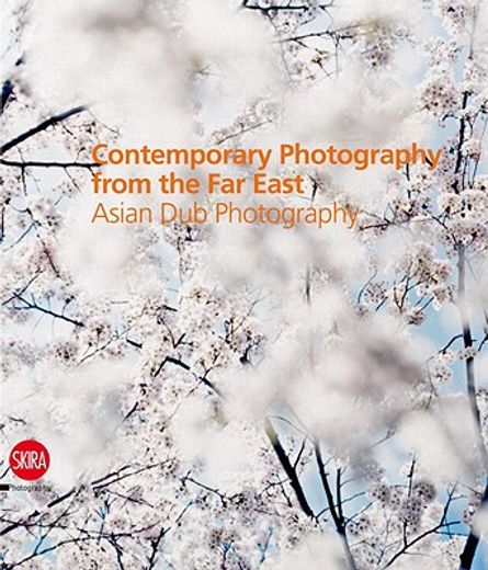 Contemporary Photography from the Far East: Asian Dub Photography (en Inglés)