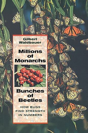 millions of monarchs, bunches of beetles,how bugs find strength in numbers