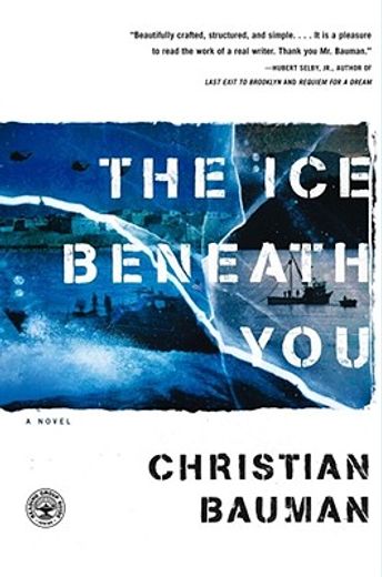 the ice beneath you,a novel