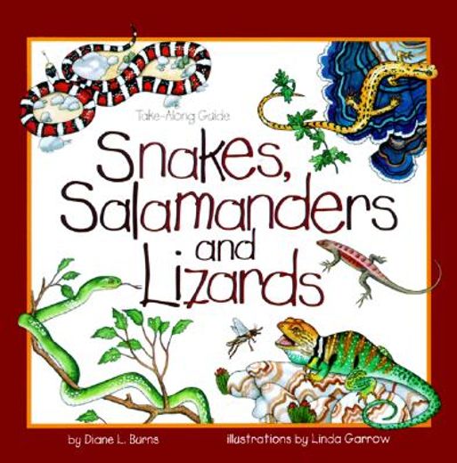 snakes, salamanders, and lizards
