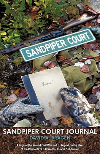 sandpiper court journal,a saga of the second civil war and its impact on the lives of the residents of a wheaton, illinois,