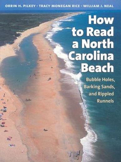 how to read a north carolina beach,bubble holes, barking sands, and rippled runnels (in English)