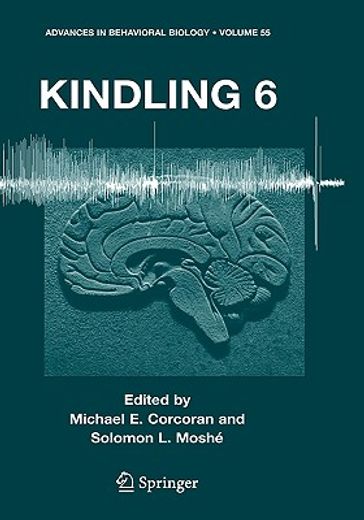 kindling 6 (en Inglés)