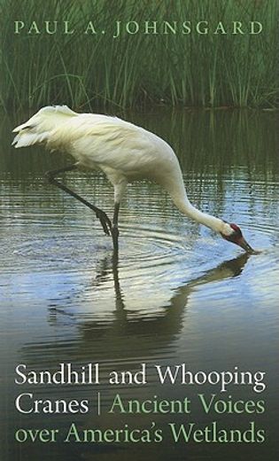 sandhill and whooping cranes,ancient voices over america`s wetlands