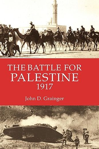 the battle for palestine, 1917 (en Inglés)