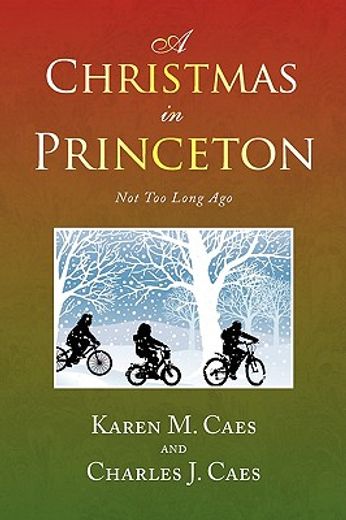 a christmas in princeton