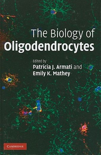 the biology of oligodendrocytes