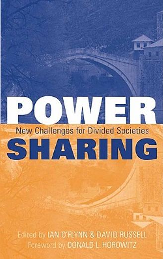 power-sharing,new challenges for divided societies