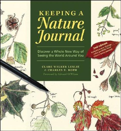 keeping a nature journal,discover a whole new way of seeing the world around you