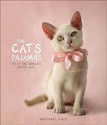 the cat´s pajamas,101 of the world´s cutest cats