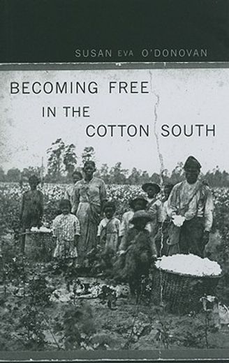 becoming free in the cotton south