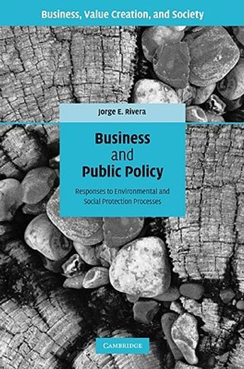 business and public policy,responses to environmental and social protection processes