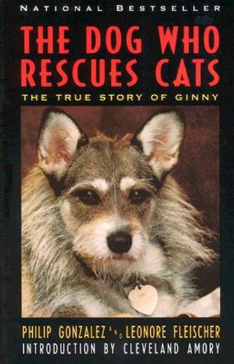 the dog who rescues cats,the true story of ginny