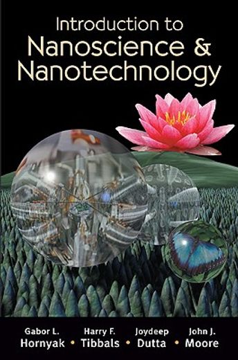 Introduction to Nanoscience and Nanotechnology (en Inglés)