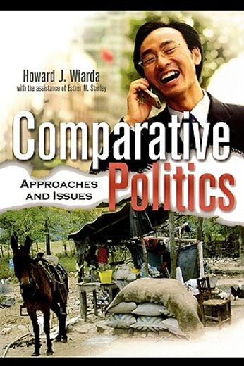comparative politics,approaches and issues