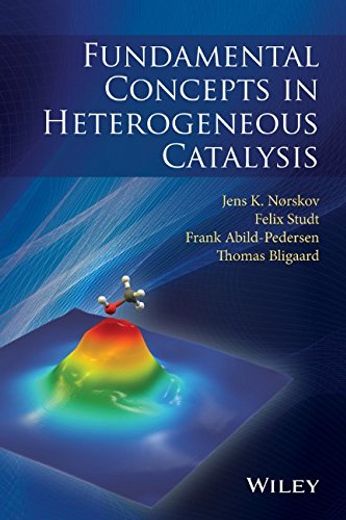 Fundamental Concepts in Heterogeneous Catalysis (en Inglés)