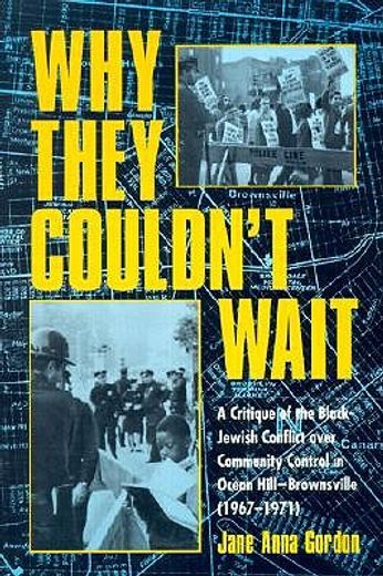 why they couldn´t wait,a critique of the black-jewish conflict over community control in ocean hill-brownsville