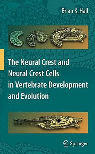 the neural crest and neural crest cells in vertebrate development and evolution (en Inglés)