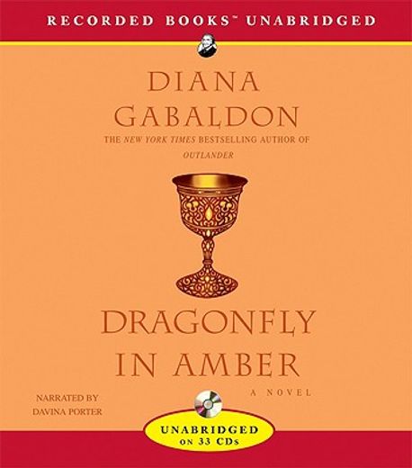 dragonfly in amber