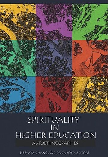 Spirituality in Higher Education: Autoethnographies (in English)