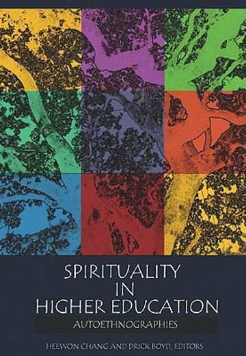 Spirituality in Higher Education: Autoethnographies