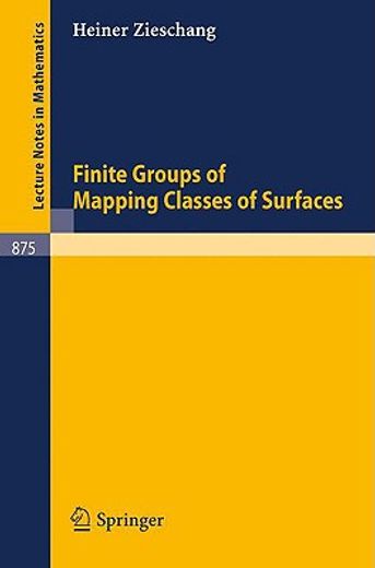 finite groups of mapping classes of surfaces (en Inglés)