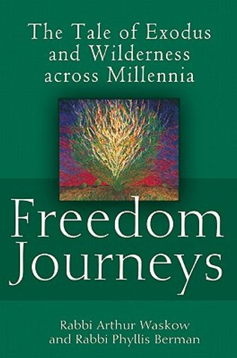 freedom journeys,the tale of exodus and wilderness across millennia