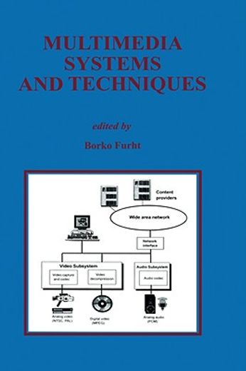 multimedia systems and techniques (in English)