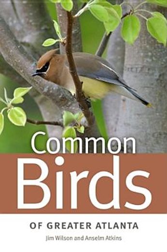 common birds of greater atlanta (en Inglés)