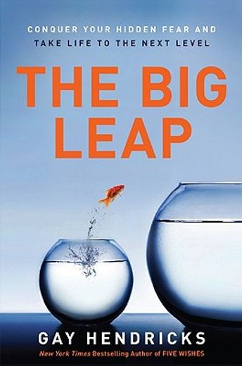 The big Leap: Conquer Your Hidden Fear and Take Life to the Next Level (en Inglés)