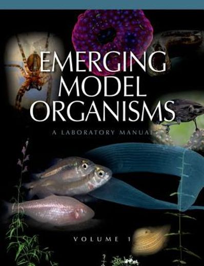 emerging model organisms