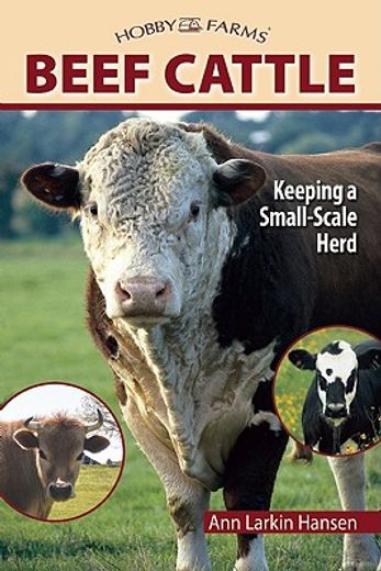 beef cattle,keeping a small-scale herd for pleasure and profit