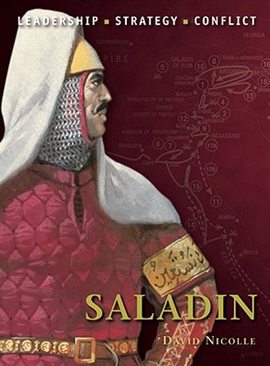 saladin,leadership, strategy, conflict