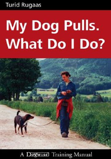 my dog pulls. what do i do? (en Inglés)