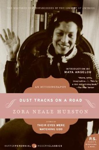 dust tracks on a road (en Inglés)