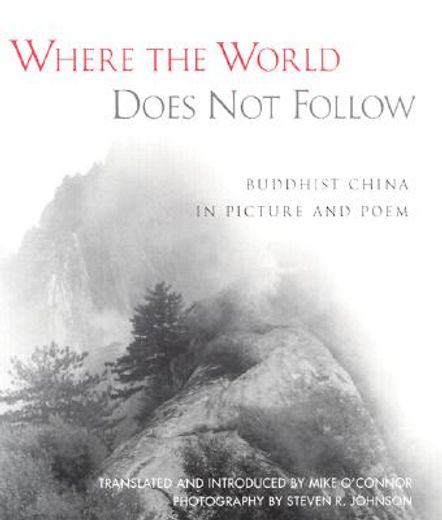 where the world does not follow,buddhist china in picture and poem