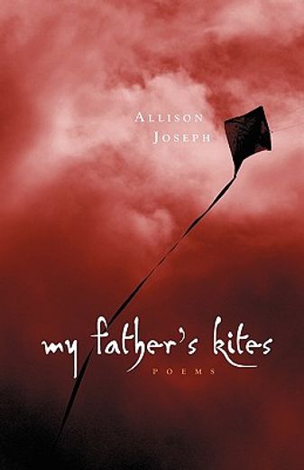 my father ` s kites (en Inglés)