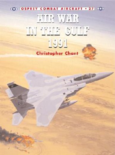Air War in the Gulf 1991 (en Inglés)